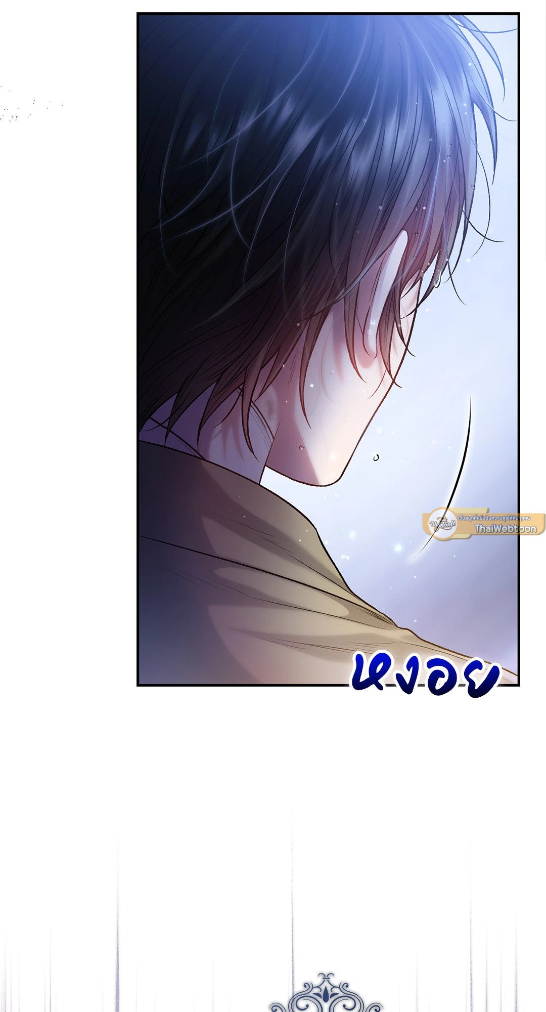 Sugar Rain 35 65