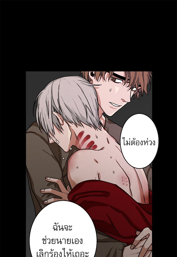 Rabbit's foot 1 06