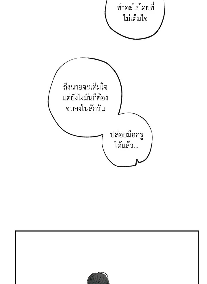The Shape of Sympathy 57 06