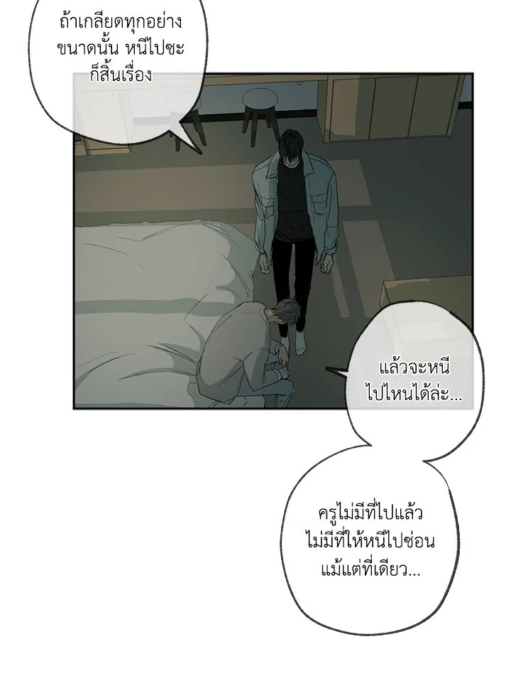 The Shape of Sympathy 45 16