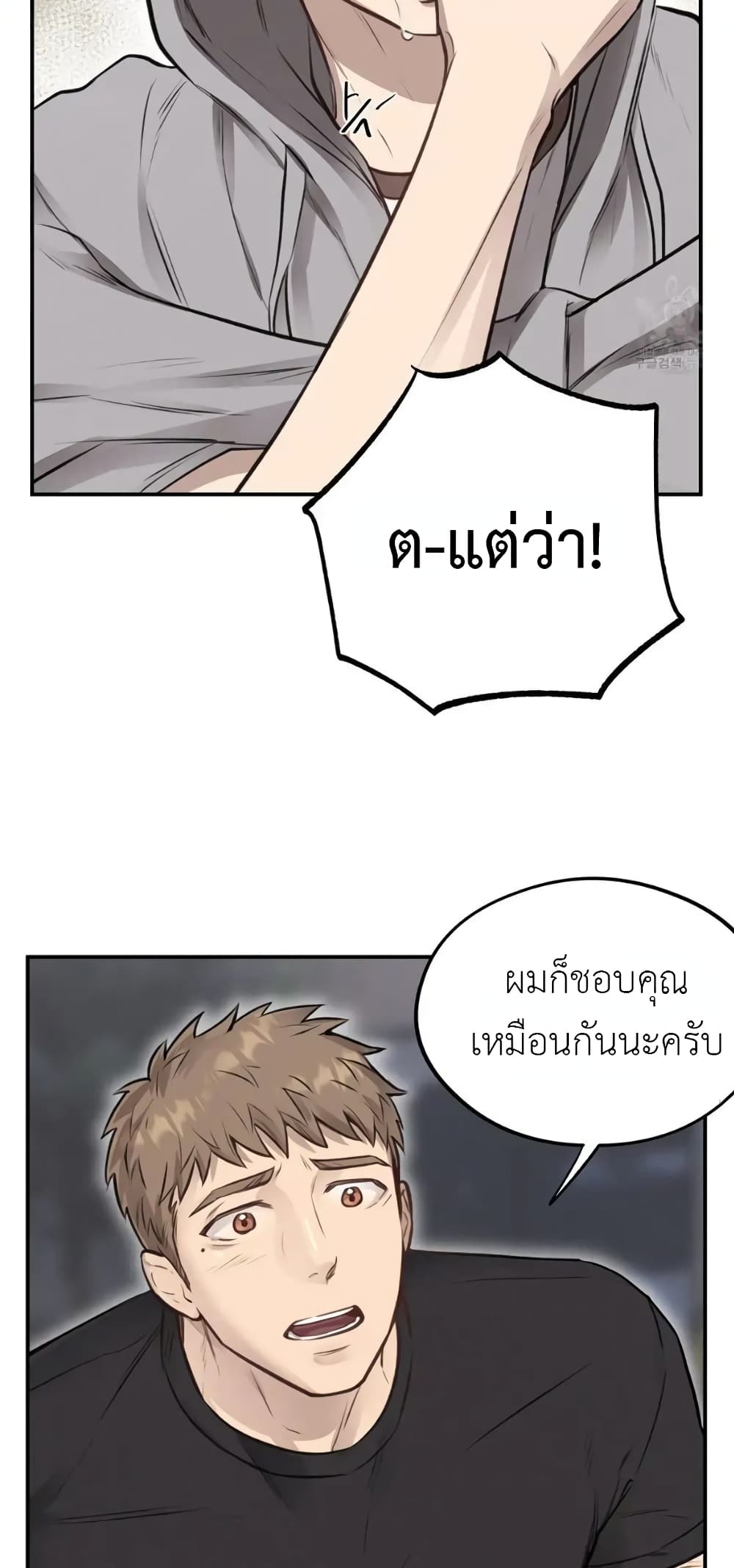 Honey Bear 40 08