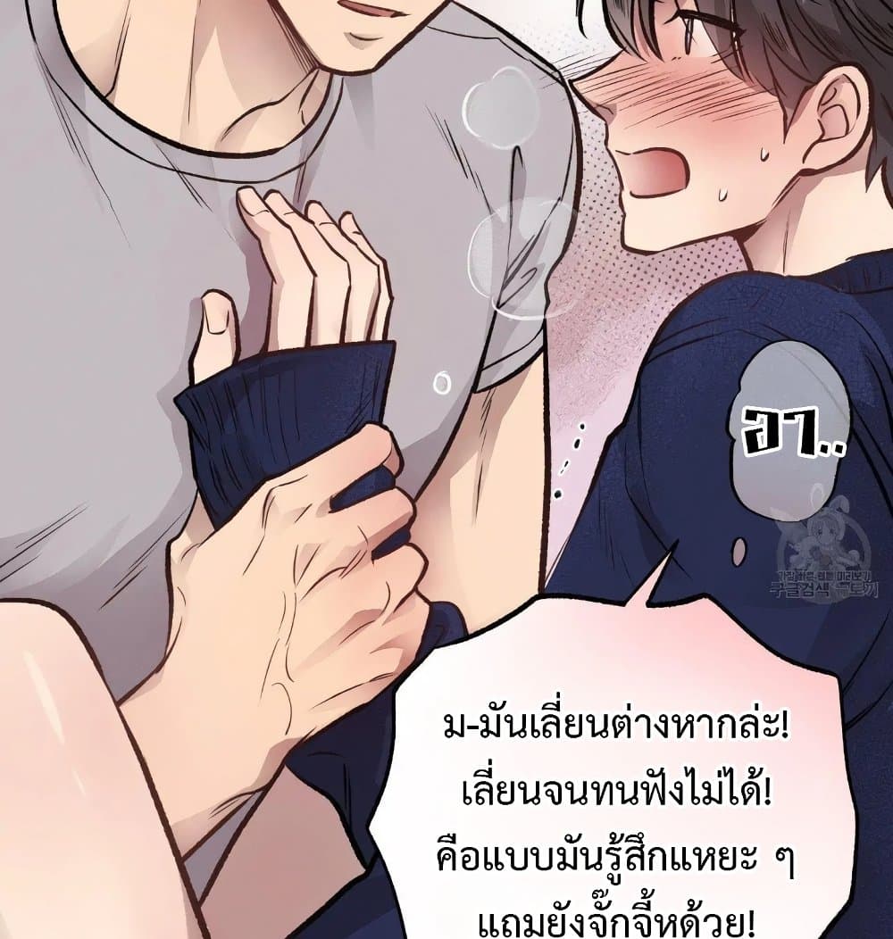 Honey Bear 15 081