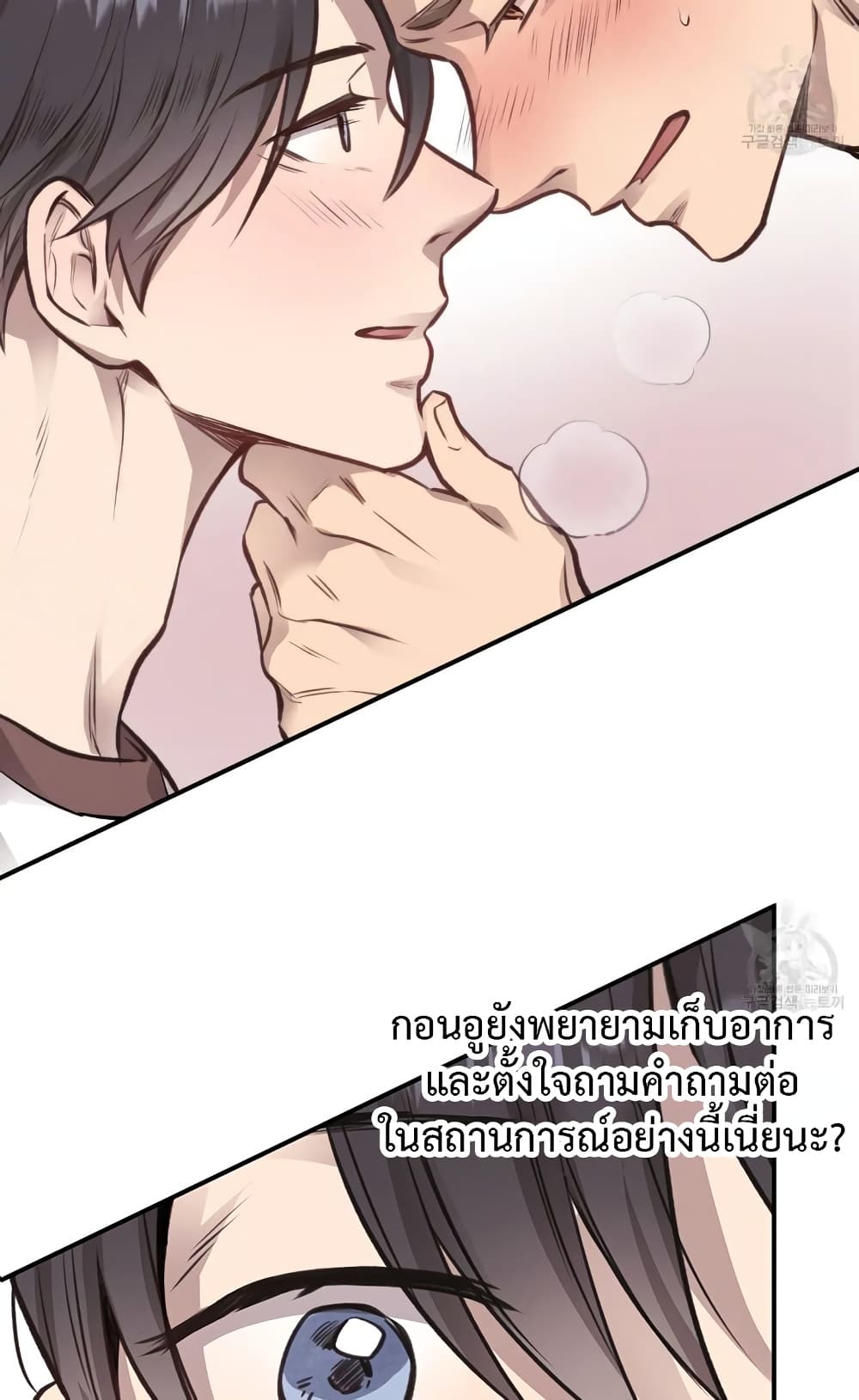 Honey Bear 12 22