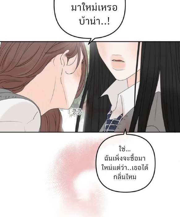 The Boundary of Fragrance 0 06