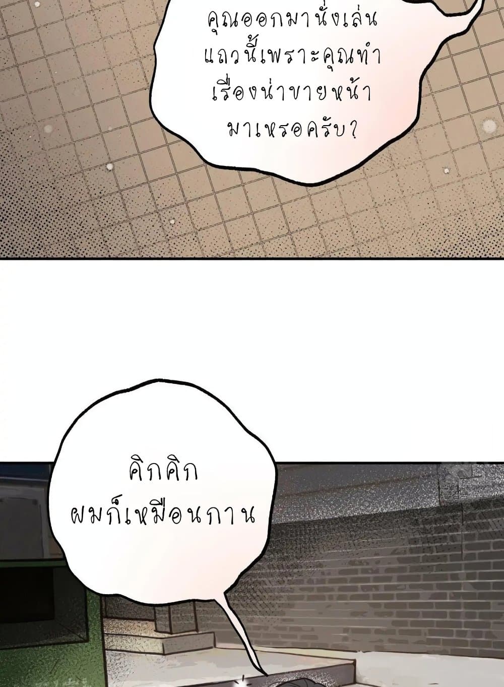 Honey Bear 9 10
