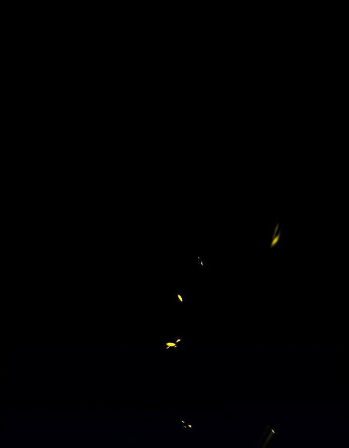 The Villainess Lives Twice 113 001