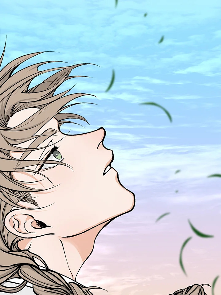Fever 8 80