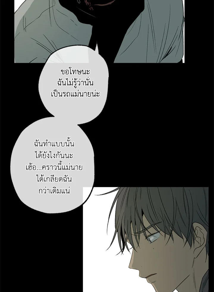 The Shape of Sympathy 47 062