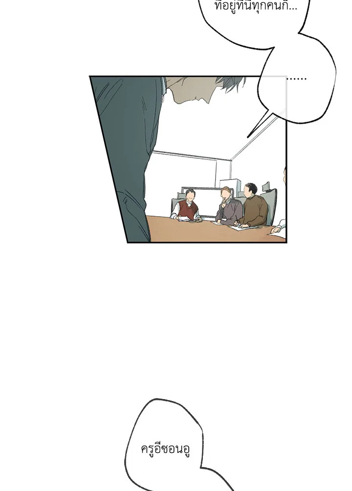 The Shape of Sympathy 5 079