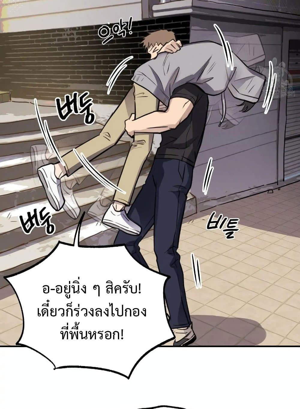 Honey Bear 9 34