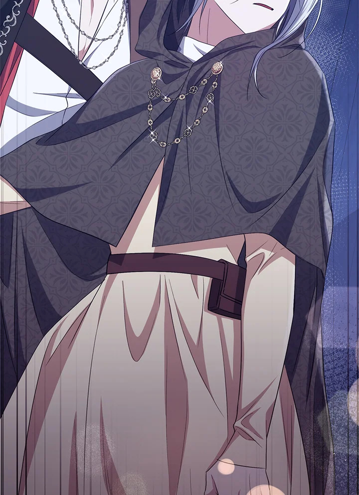 I Plan To Become The Master Of A Stolen Family 19 93