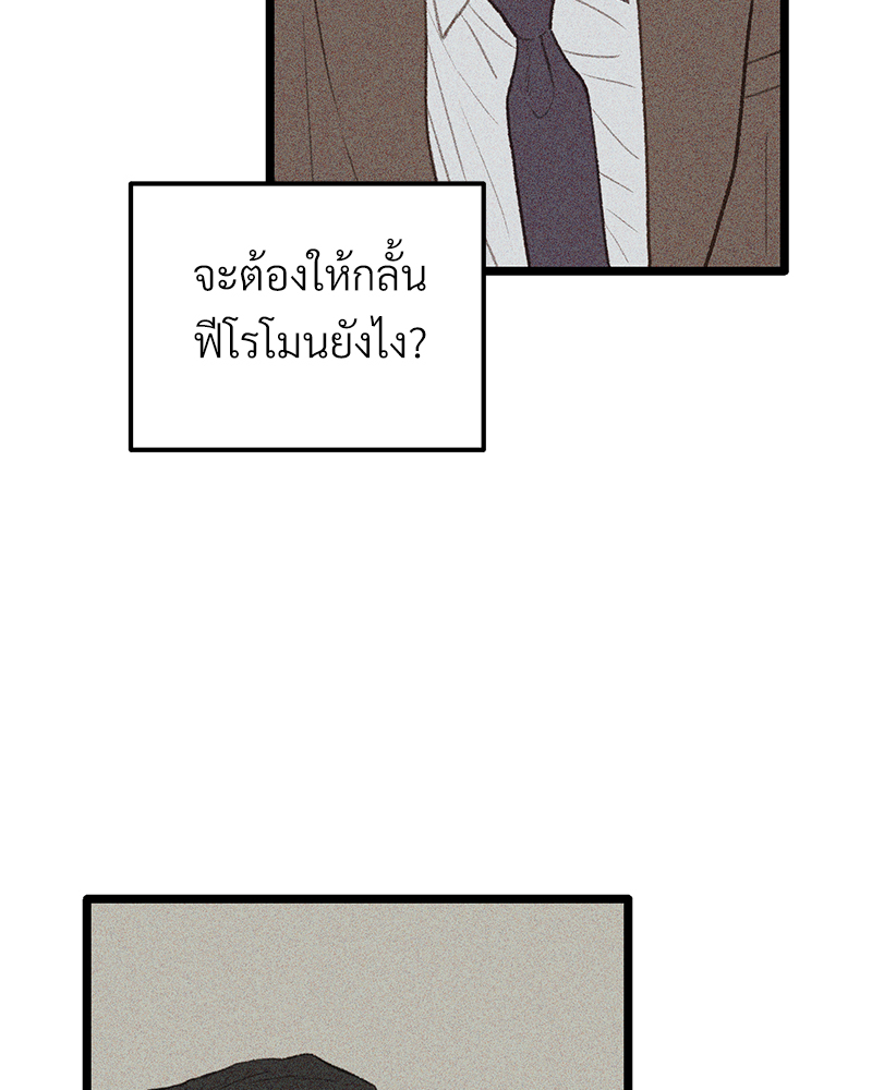 เน€เธเธ•เธซเนเธฒเธกเธฃเธฑเธเธเธเธฑเธเน€เธเธ•เนเธฒ 46 121