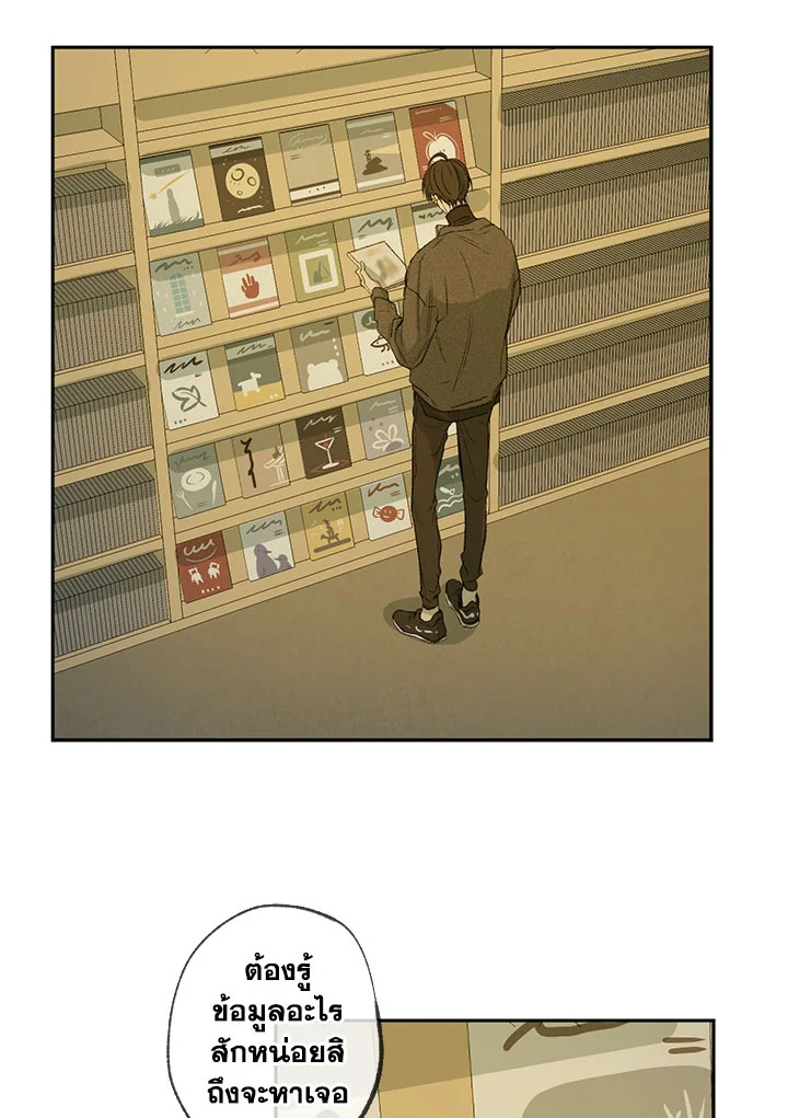 The Shape of Sympathy 55 50