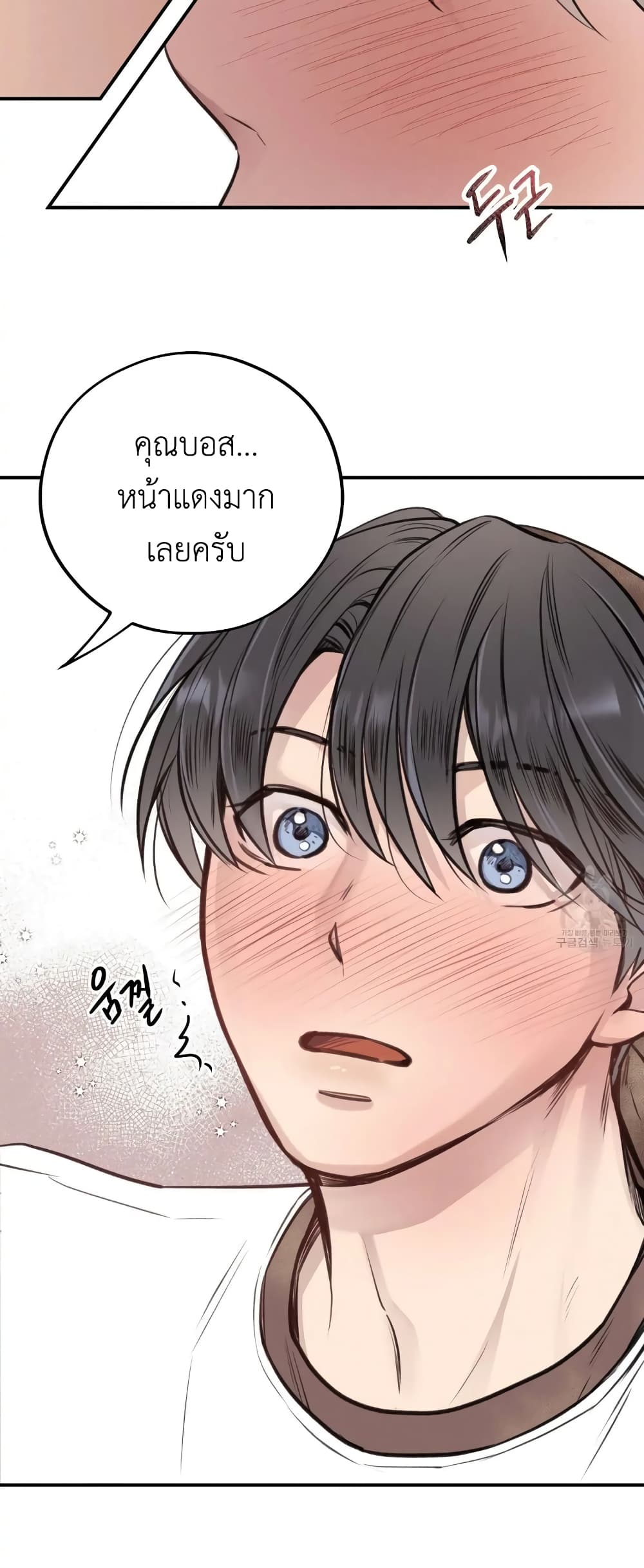 Honey Bear 8 18