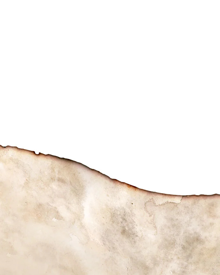 Cinderella Wasn’t Me 78 70