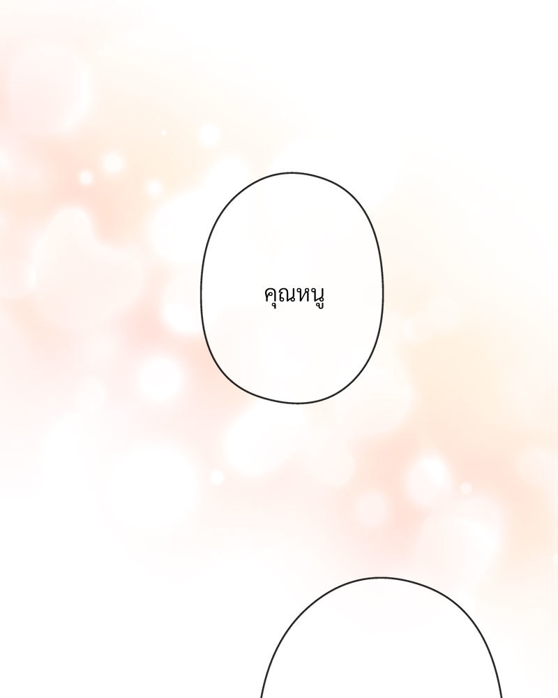 canidie 20 2 67 08101