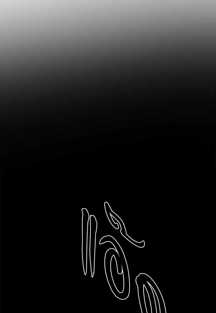 Painter of the Night 61 57