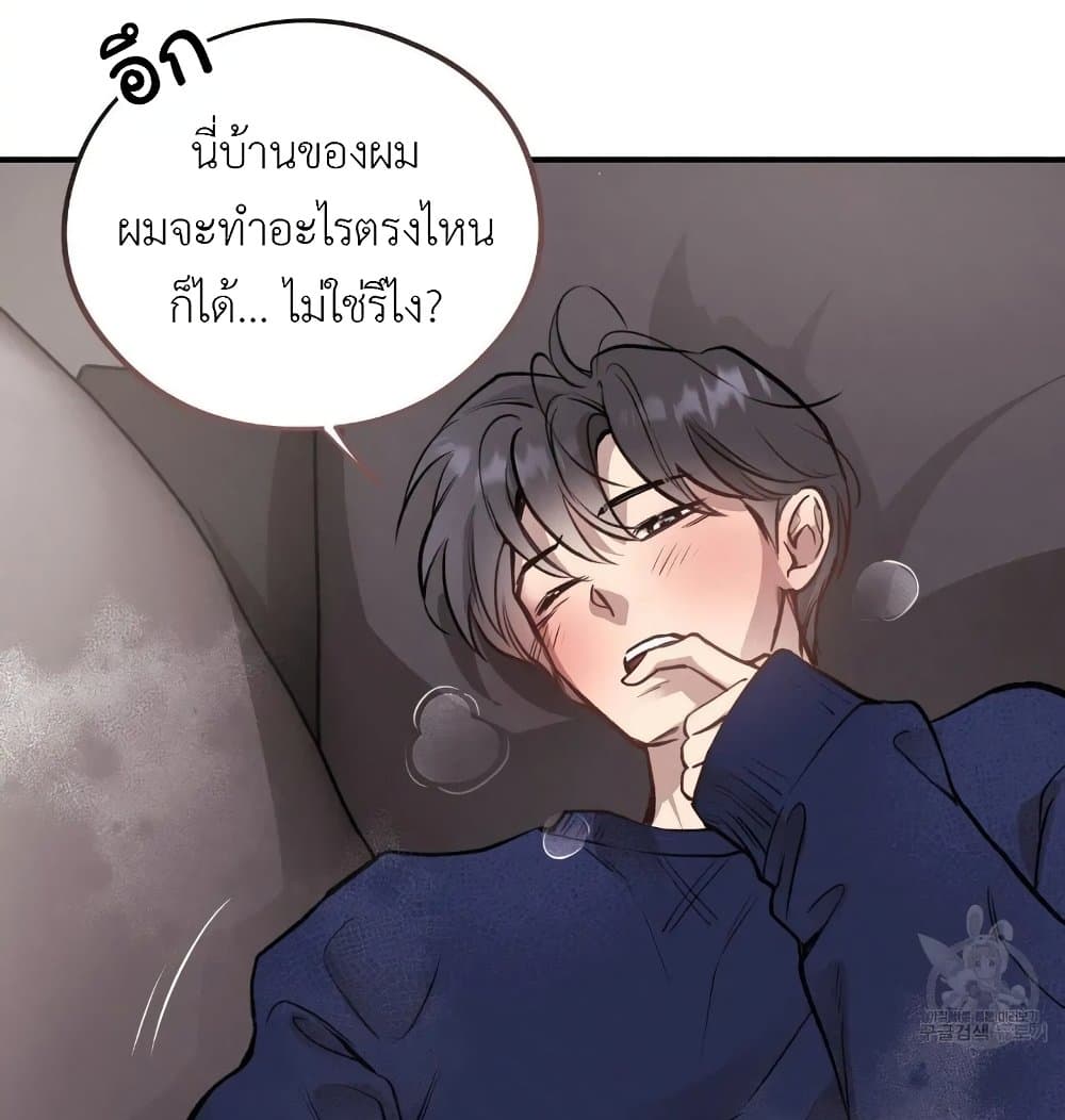 Honey Bear 15 028