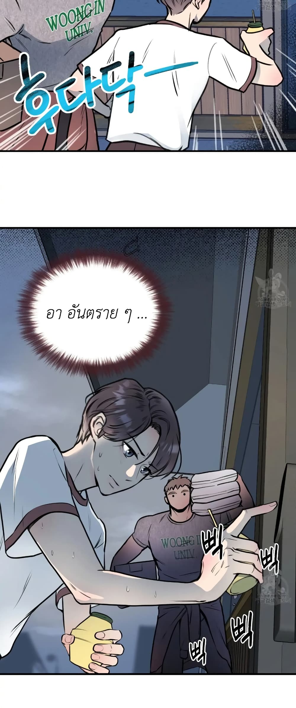 Honey Bear 5 29