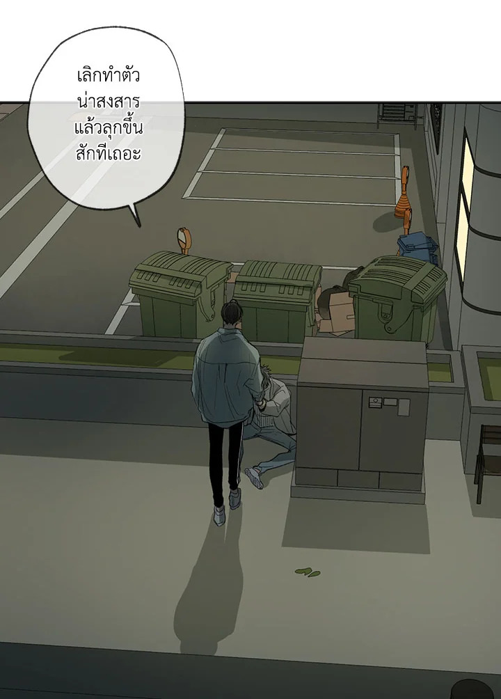 The Shape of Sympathy 45 04