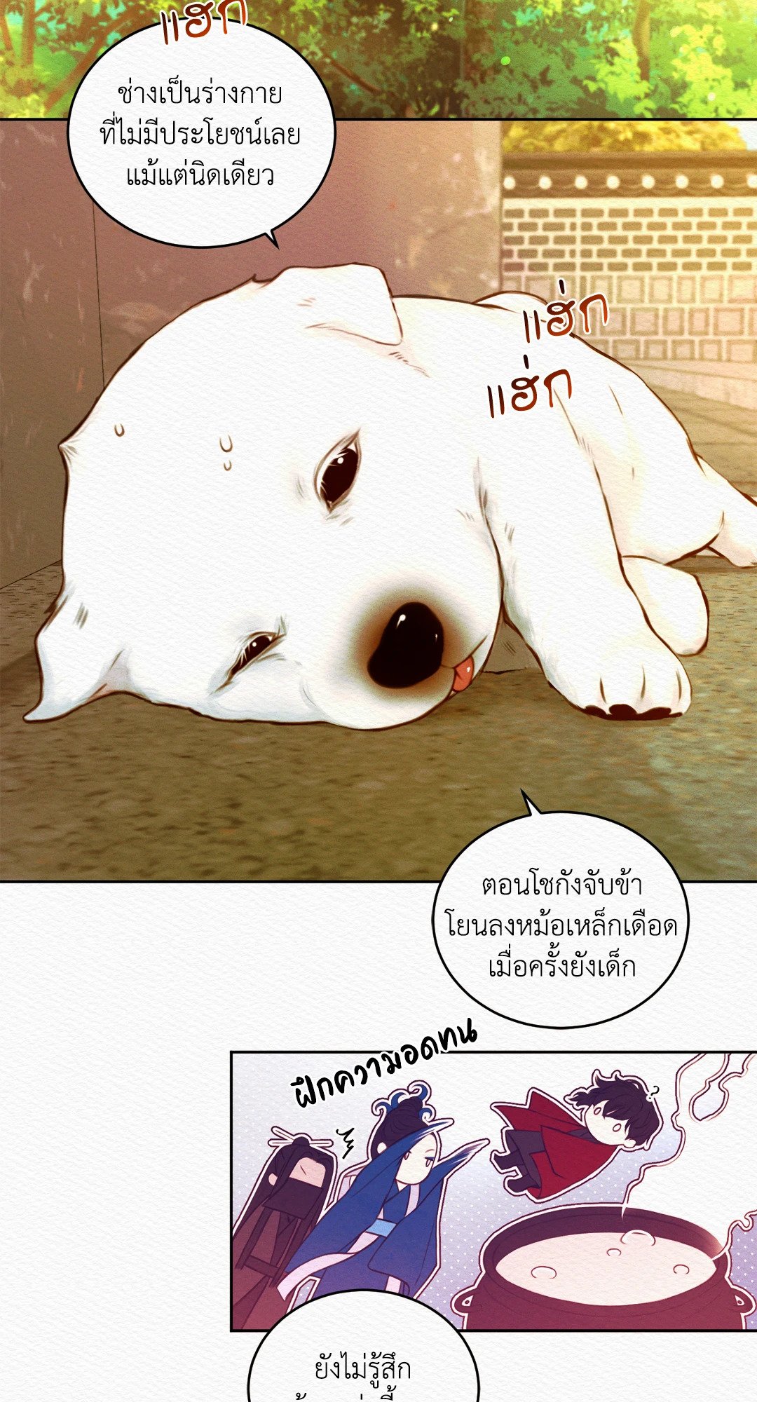 Night Song 26 28