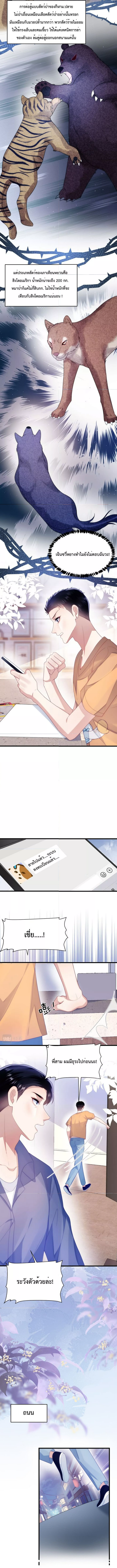 DESTINY LOVE 44 (7)