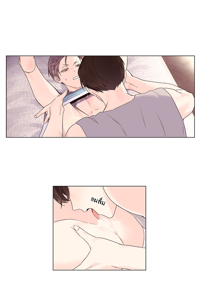 4 Week Lovers 44 36