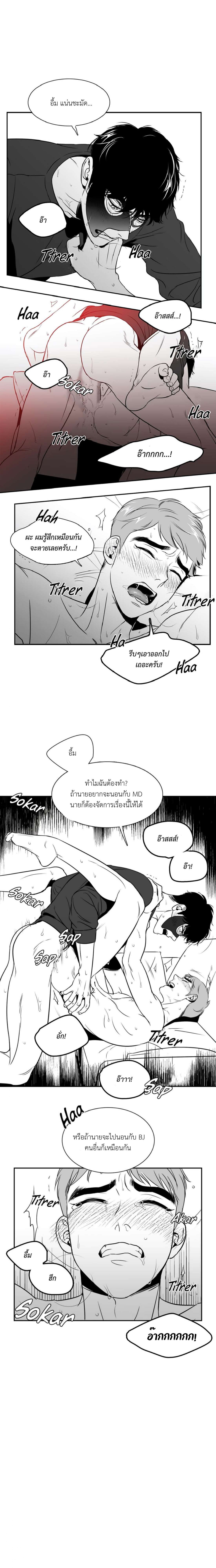 BJ Alex 25 13