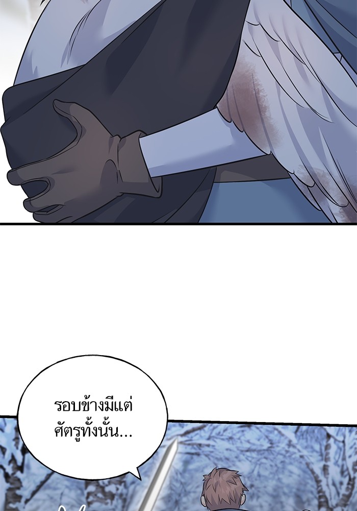 81