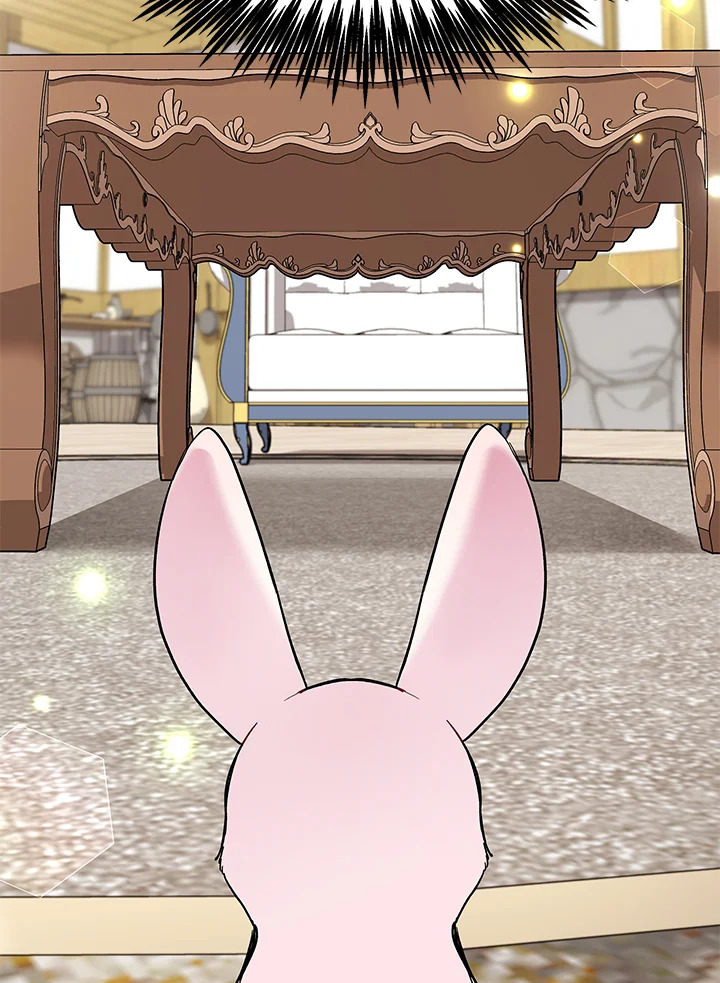 The Symbiotic Relationship Between a Panther and a Rabbit 123 080