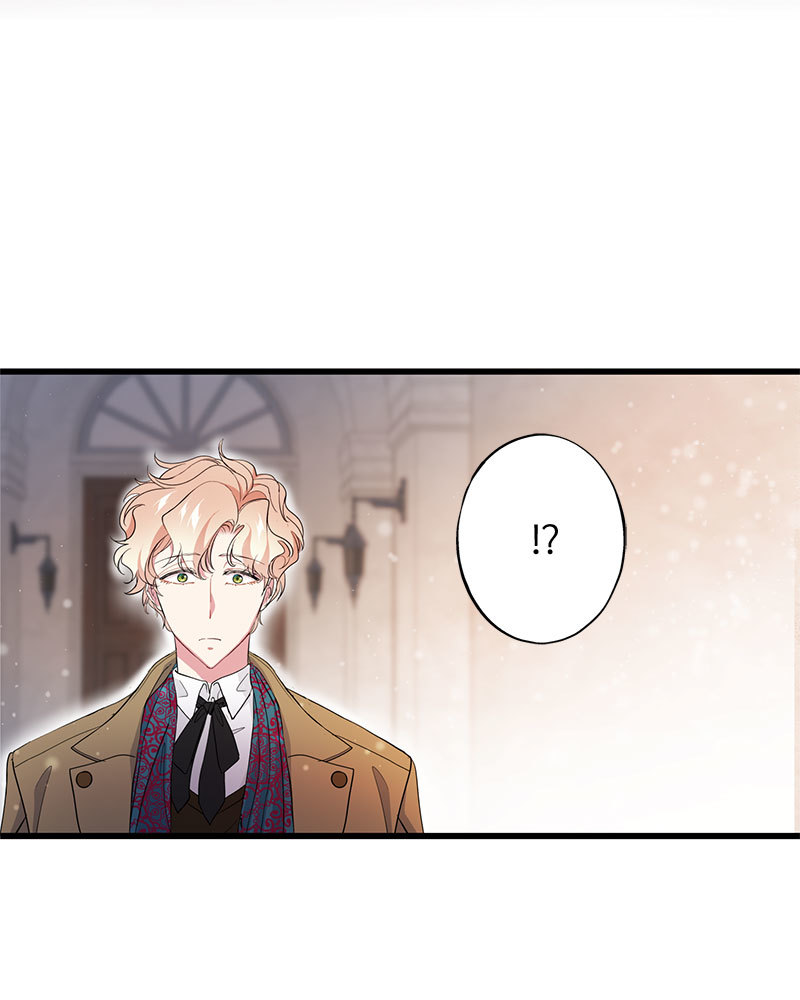 canidie 20 2 67 08063