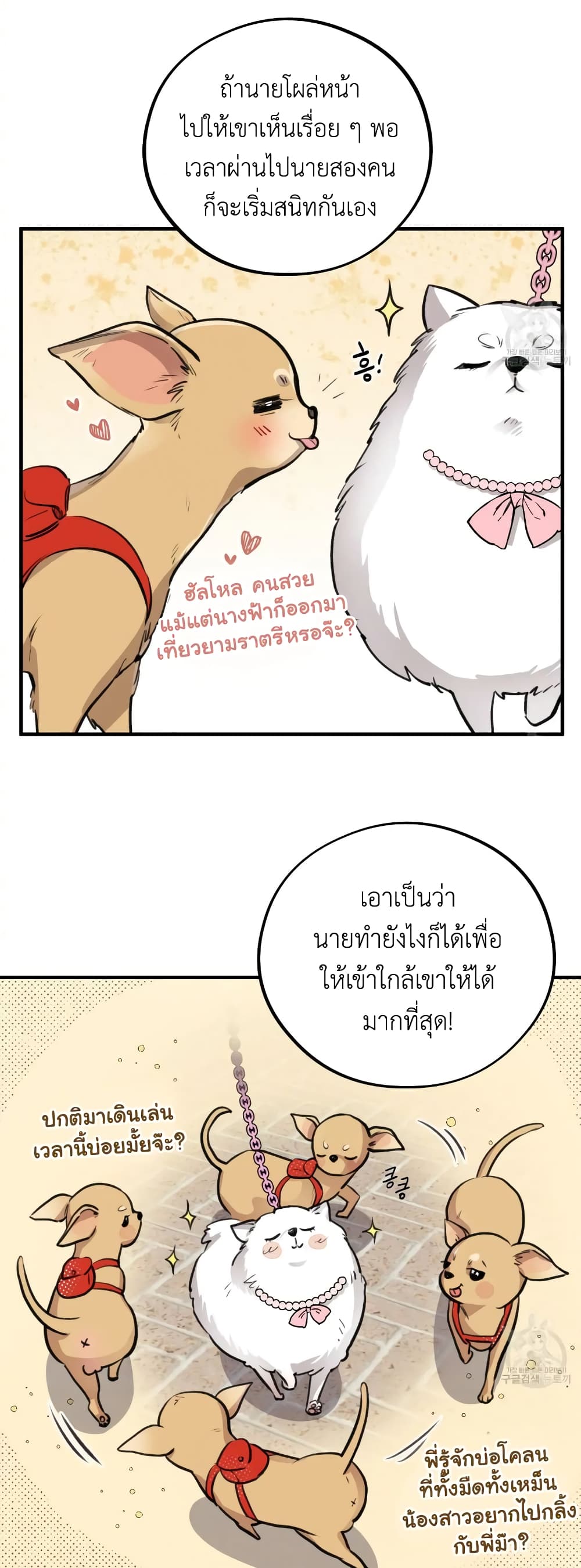 Honey Bear 4 22