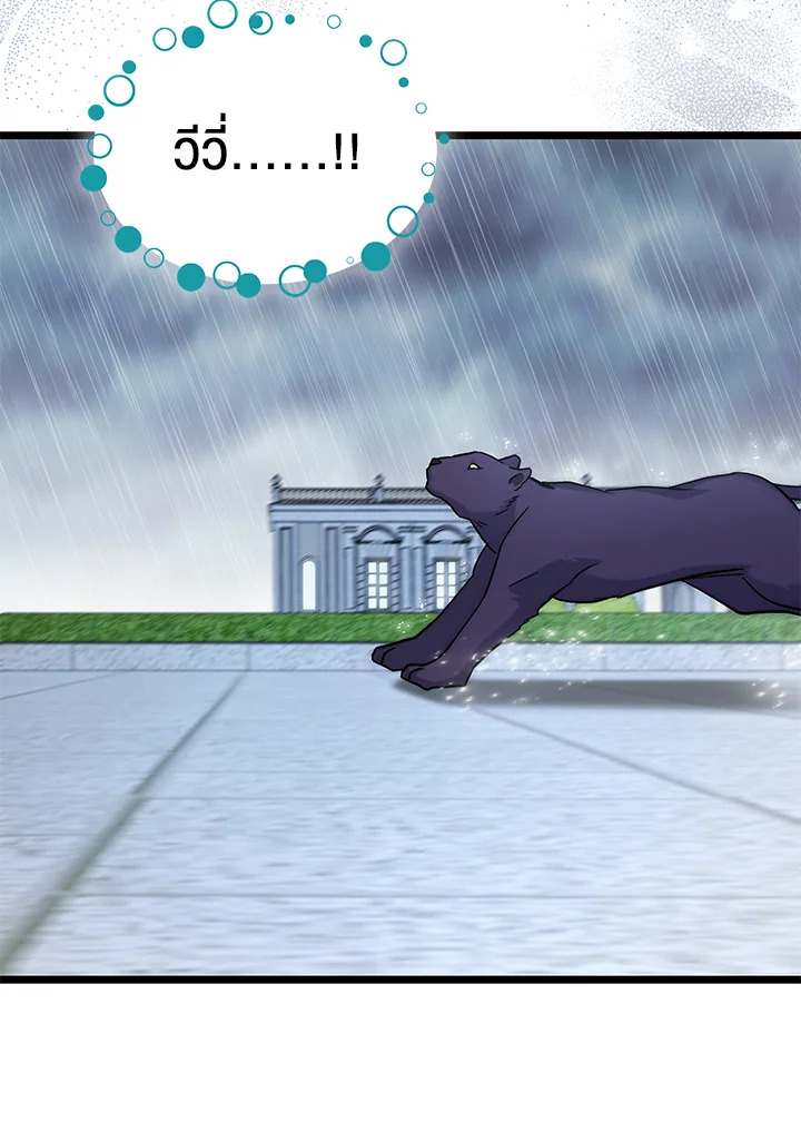 The Symbiotic Relationship Between a Panther and a Rabbit 121 77