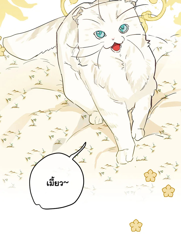 When the Count 40 12