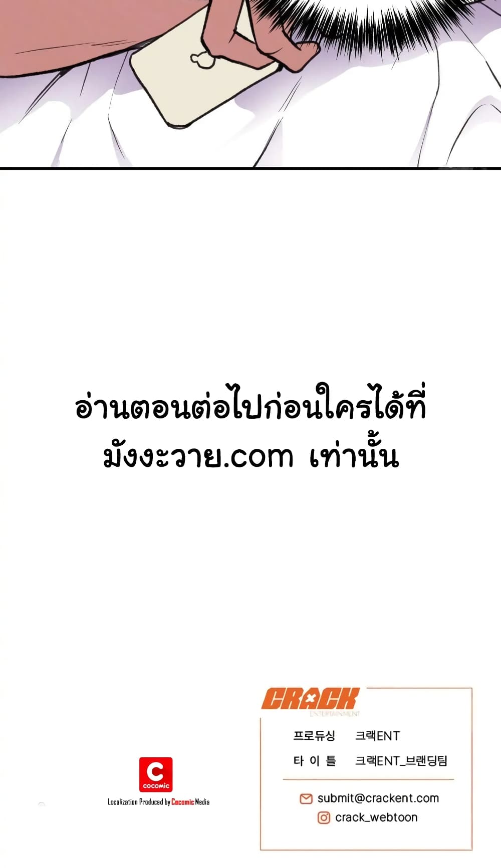 Honey Bear 1 46
