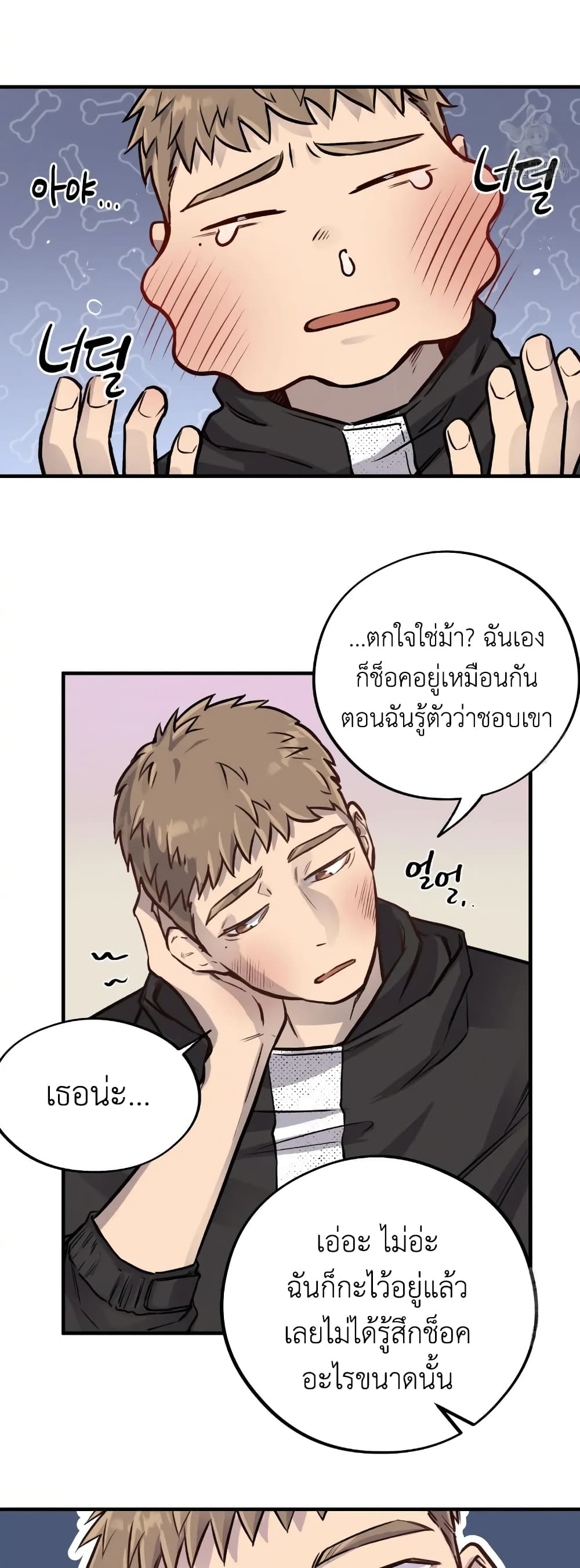 Honey Bear 4 08