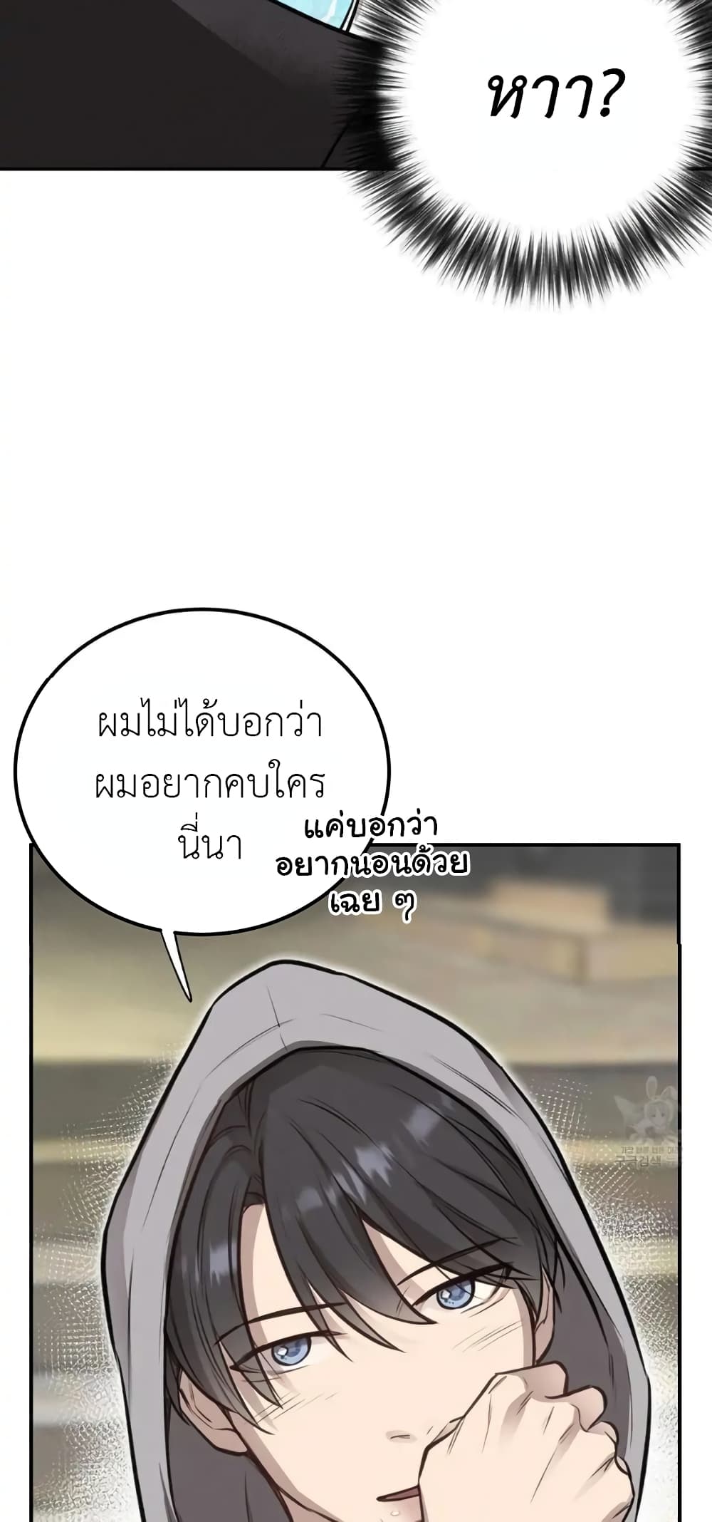 Honey Bear 40 07