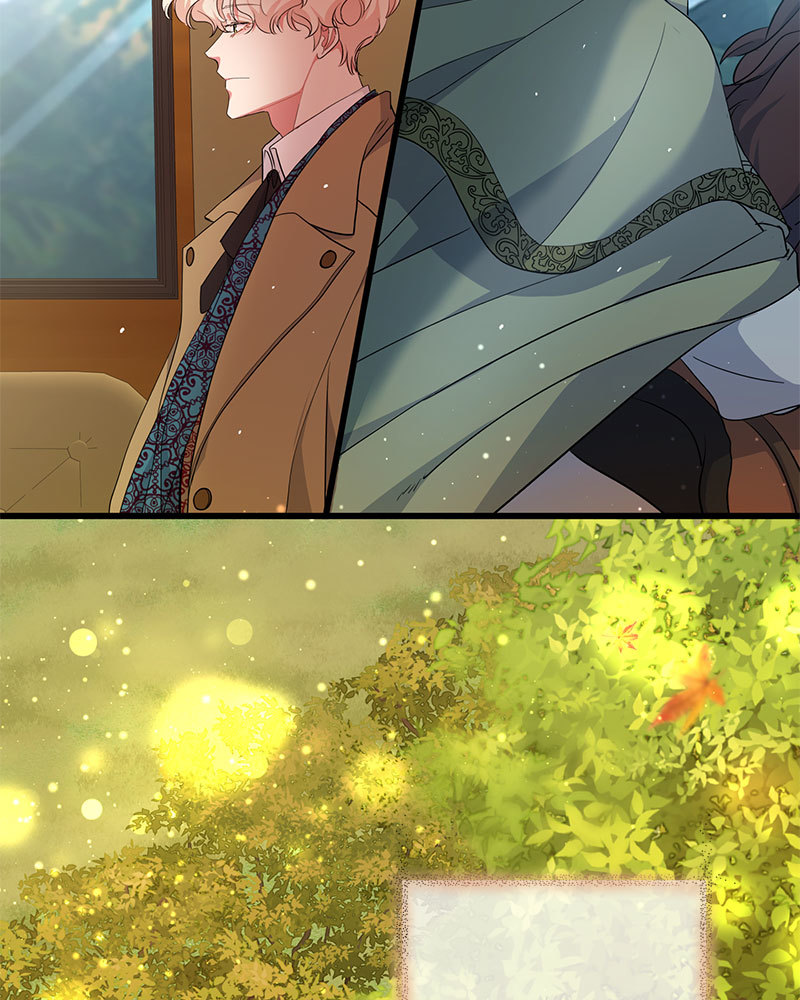 canidie 20 2 67 08144