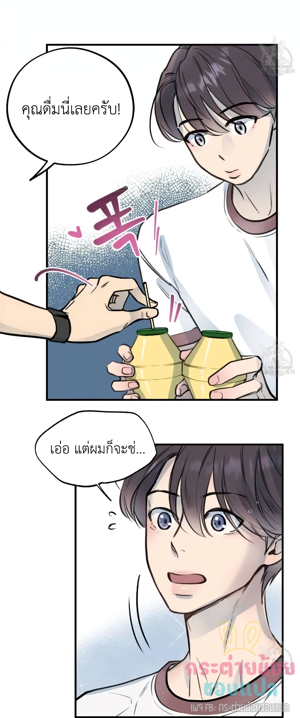 Honey Bear 5 23