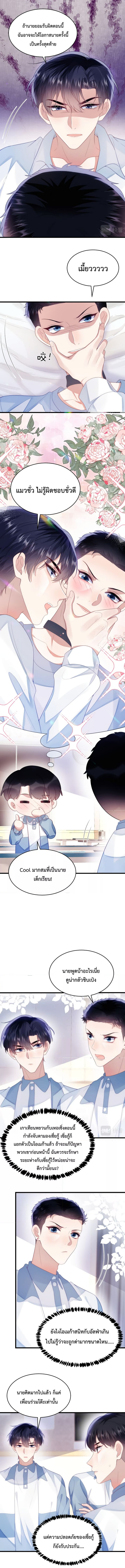 DESTINY LOVE 40 (3)