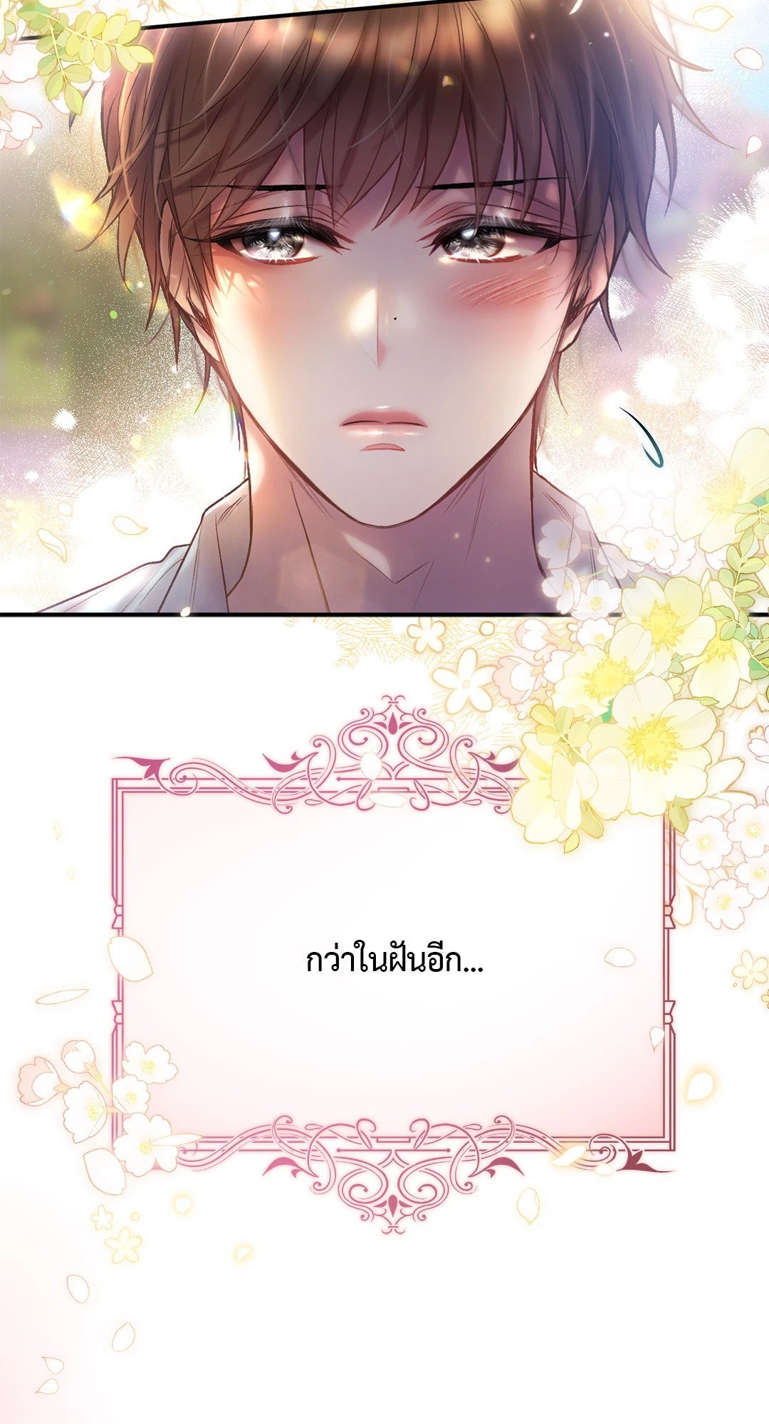 Sugar Rain 38 21