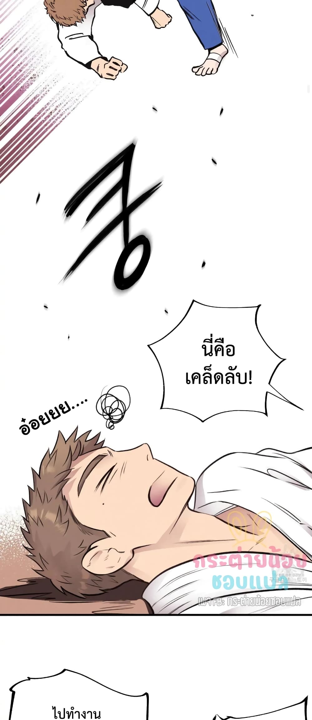 Honey Bear 7 17