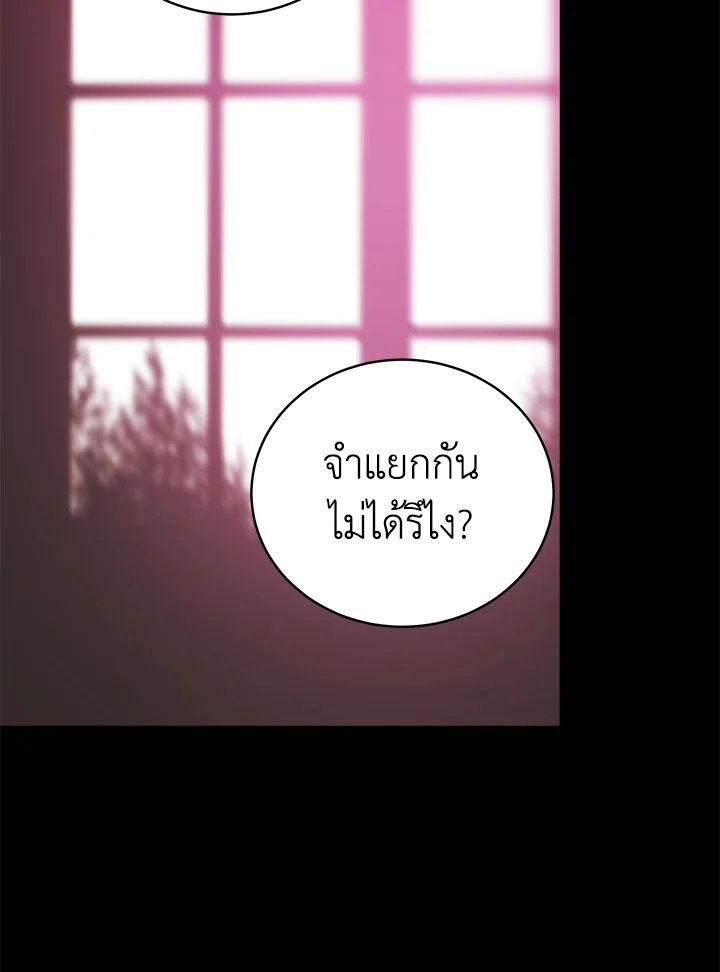 Shuffle 84 16