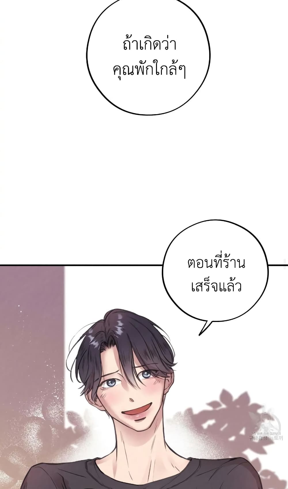 Honey Bear 1 35