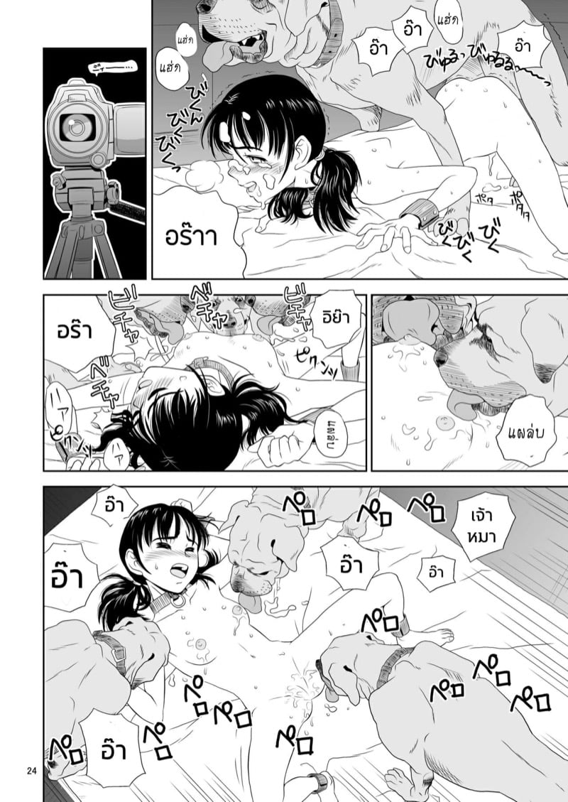 23