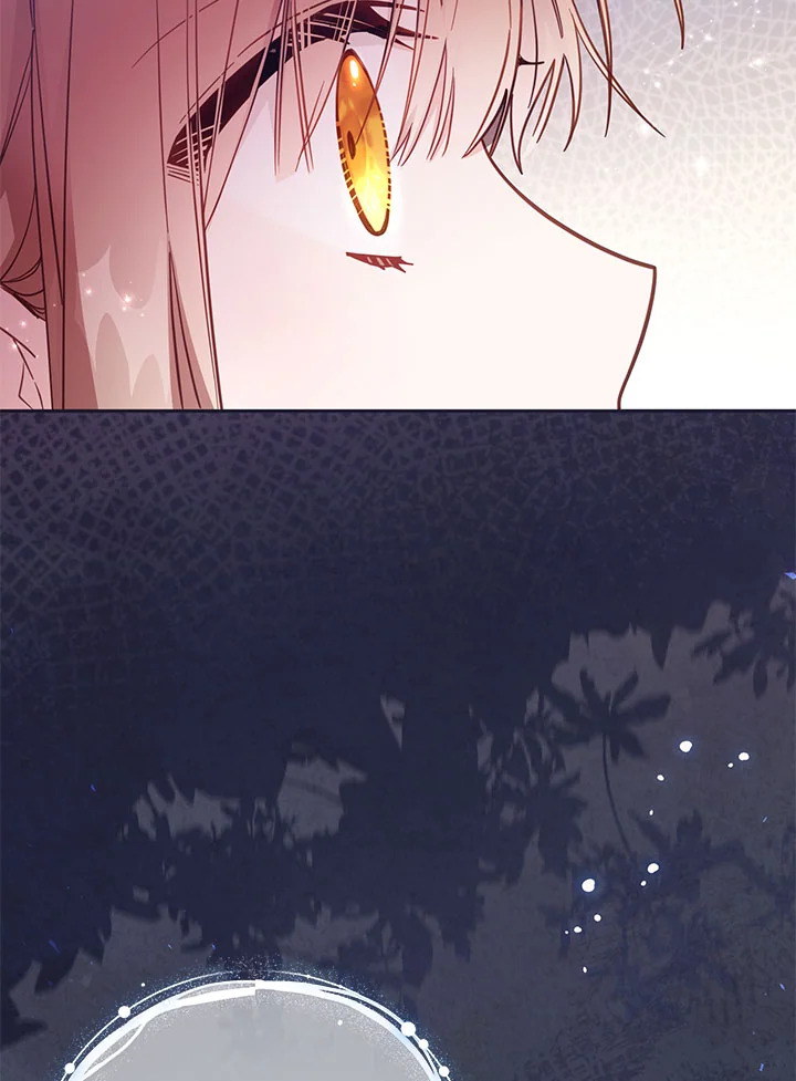 No Place for the Fake Princess 38 080