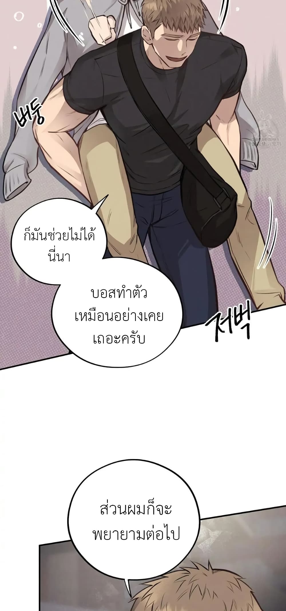 Honey Bear 40 36