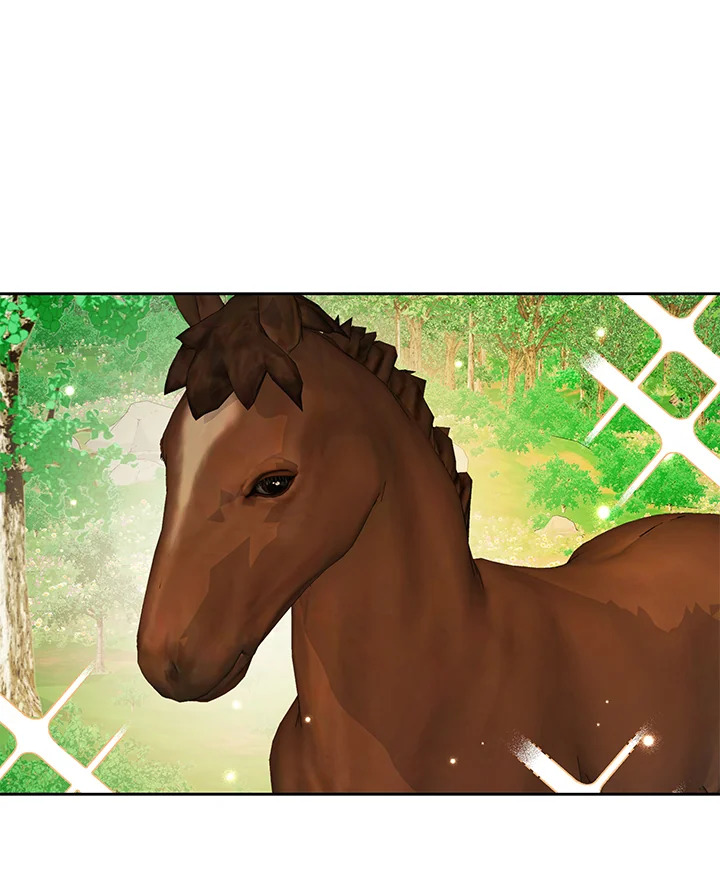 Life on the Flower Road of the Grand Duchess 33 071