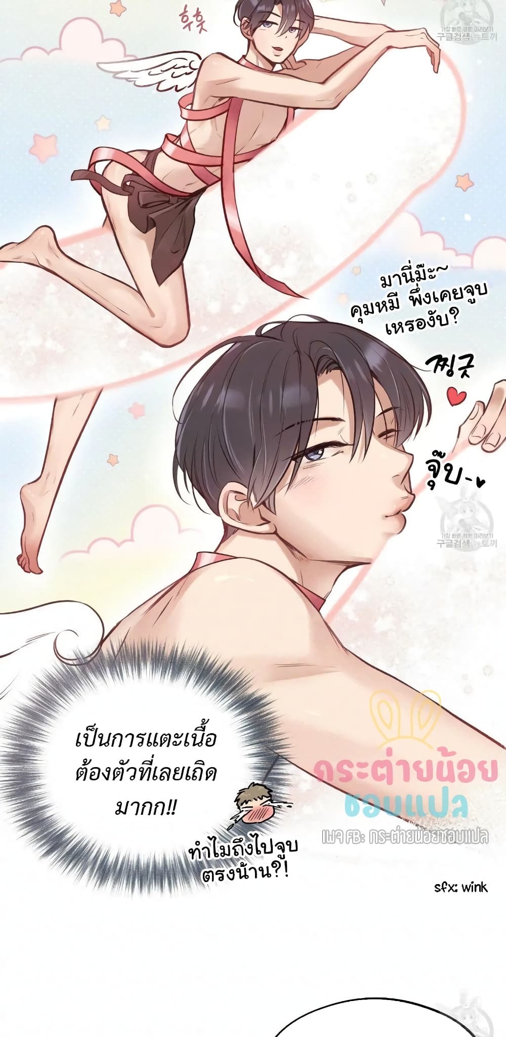 Honey Bear 13 06