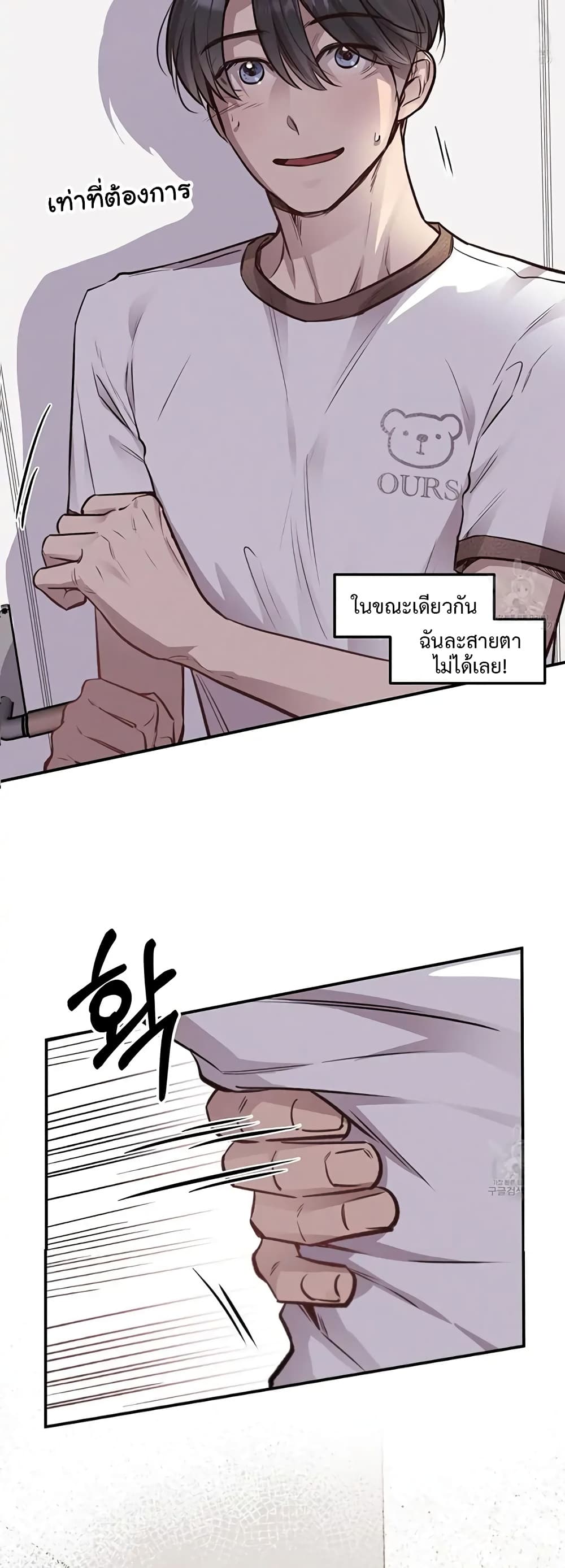 Honey Bear 11 34